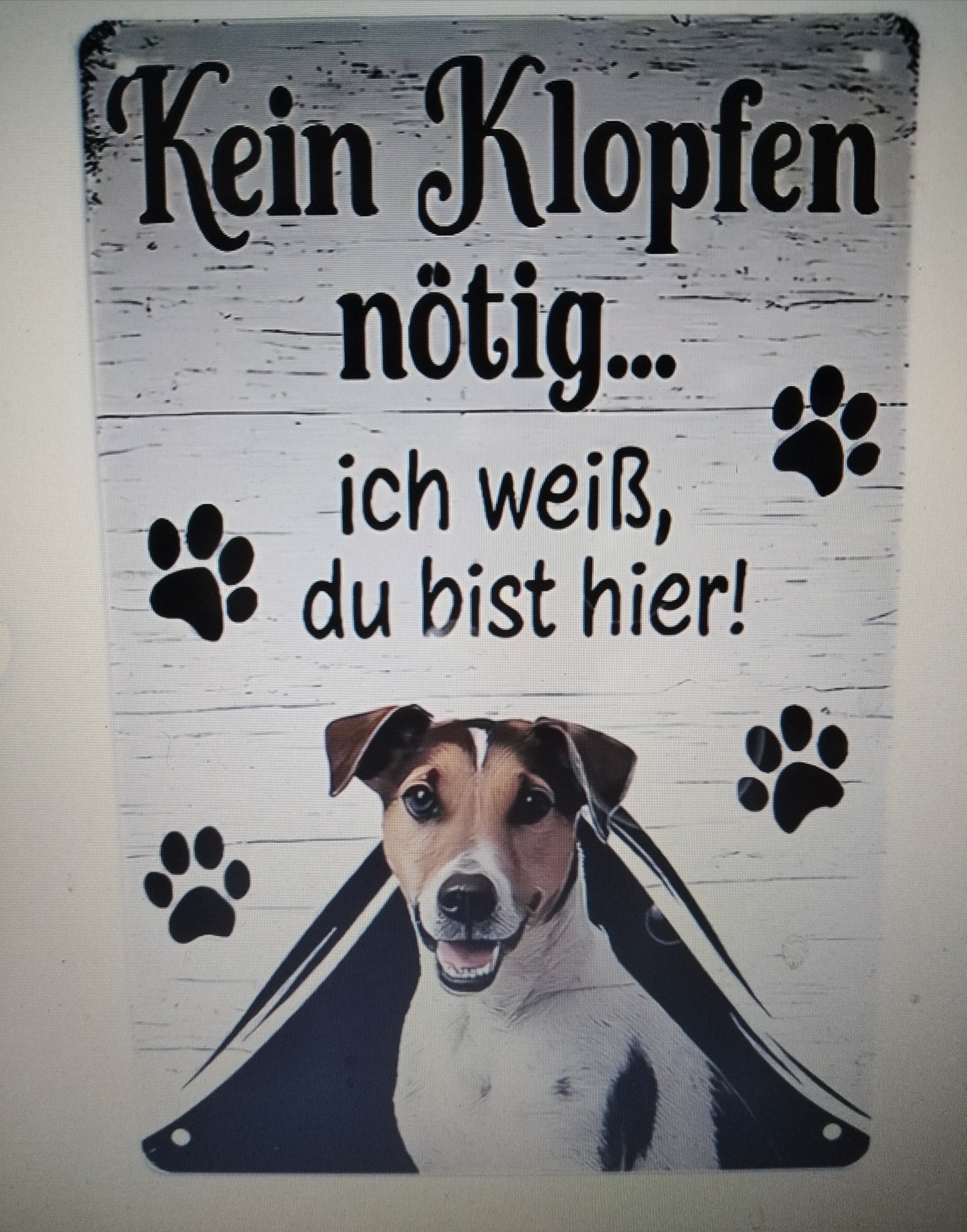 Cuadro de madera Jack Russell Terrier asomando por cortina con huellas negras y frase en alemán Kein Klopfen nötig ich weiß du bist hier