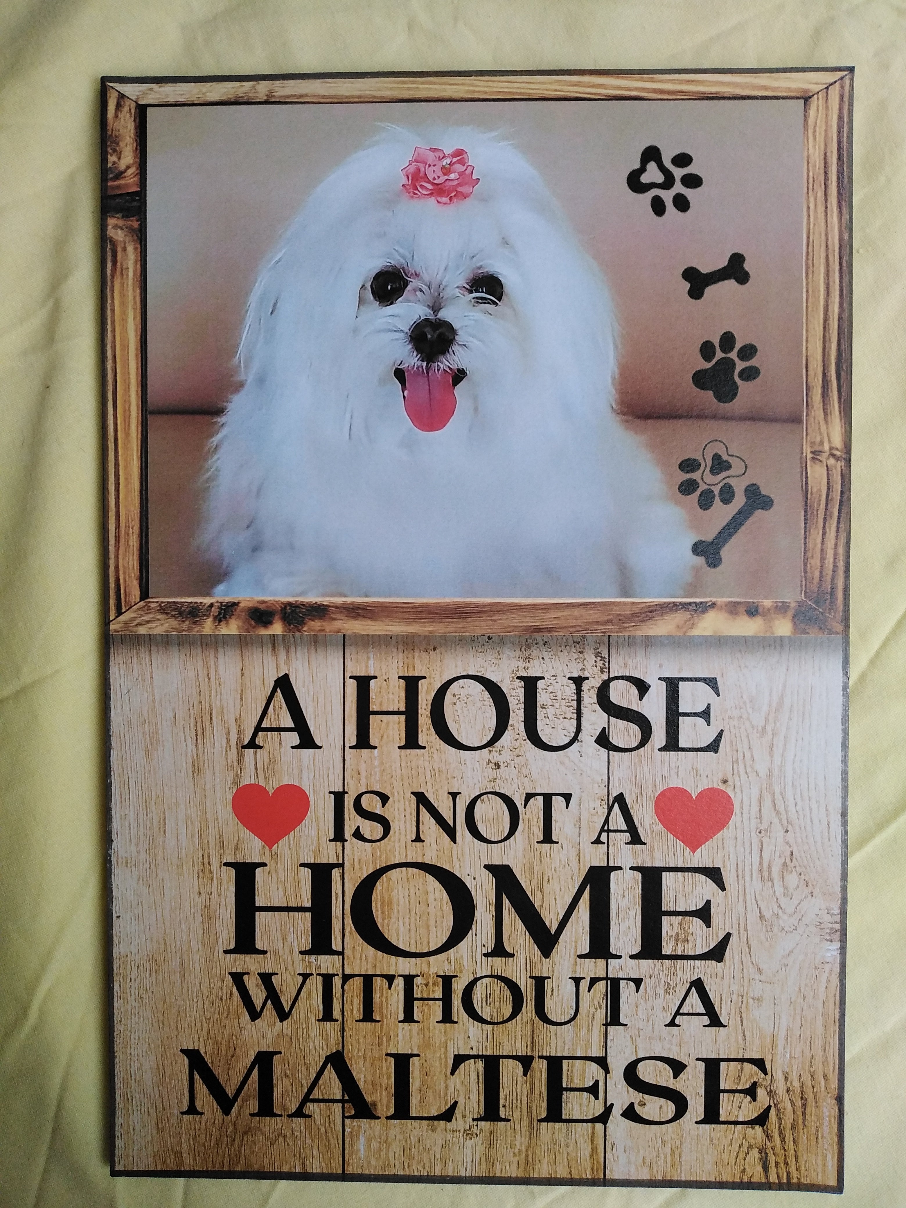 Cuadro de madera perrito Maltés blanco esponjoso con flor rosa y lengua fuera con huellas y frase A House Is Not a Home Without a Maltese
