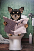 Cuadro gracioso chihuahua negro leyendo periódico sentado en el váter litografía madera 19x28 cm