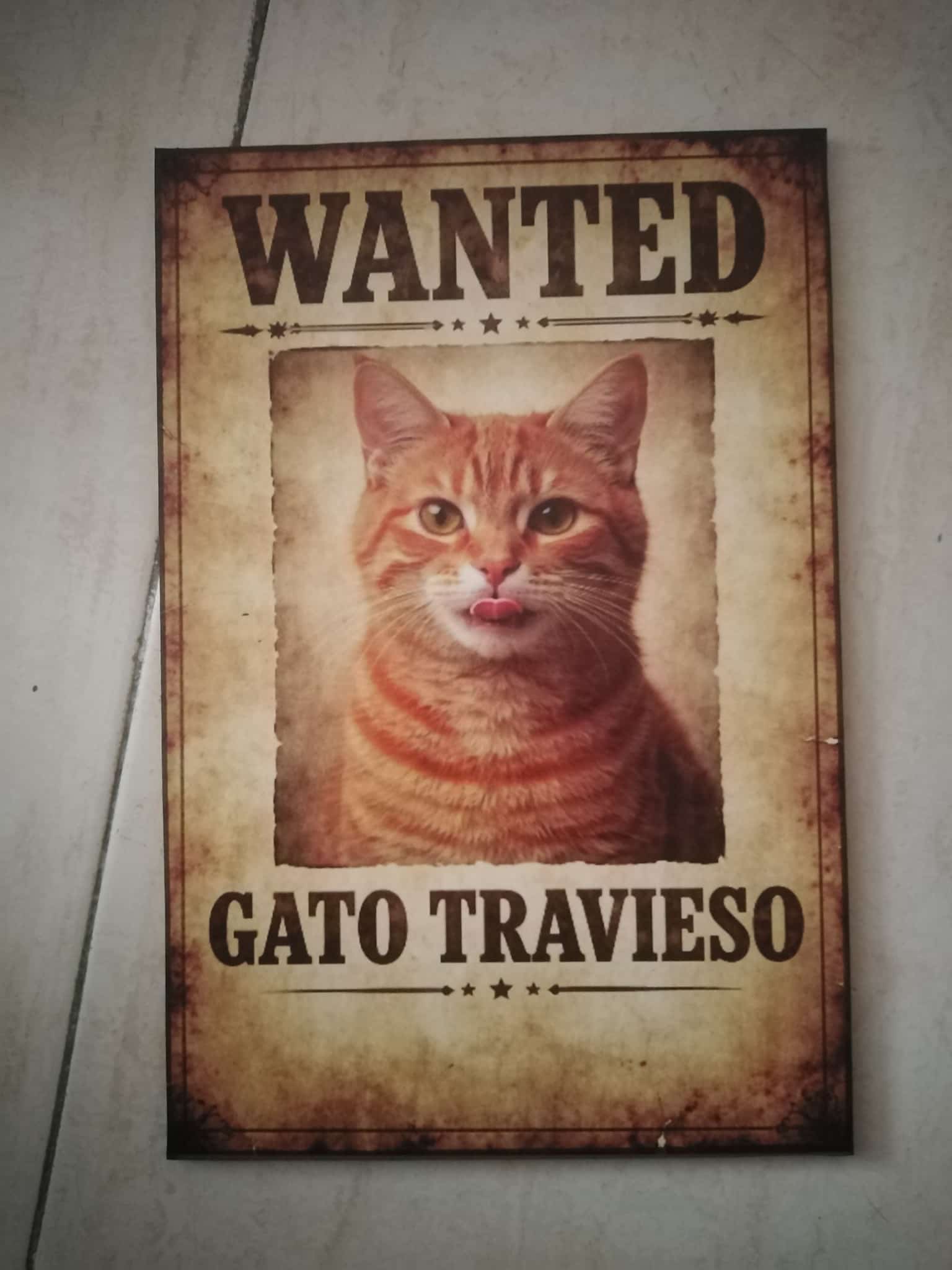 Cartel wanted gato travieso naranja estilo western litografía madera 19x28 cm