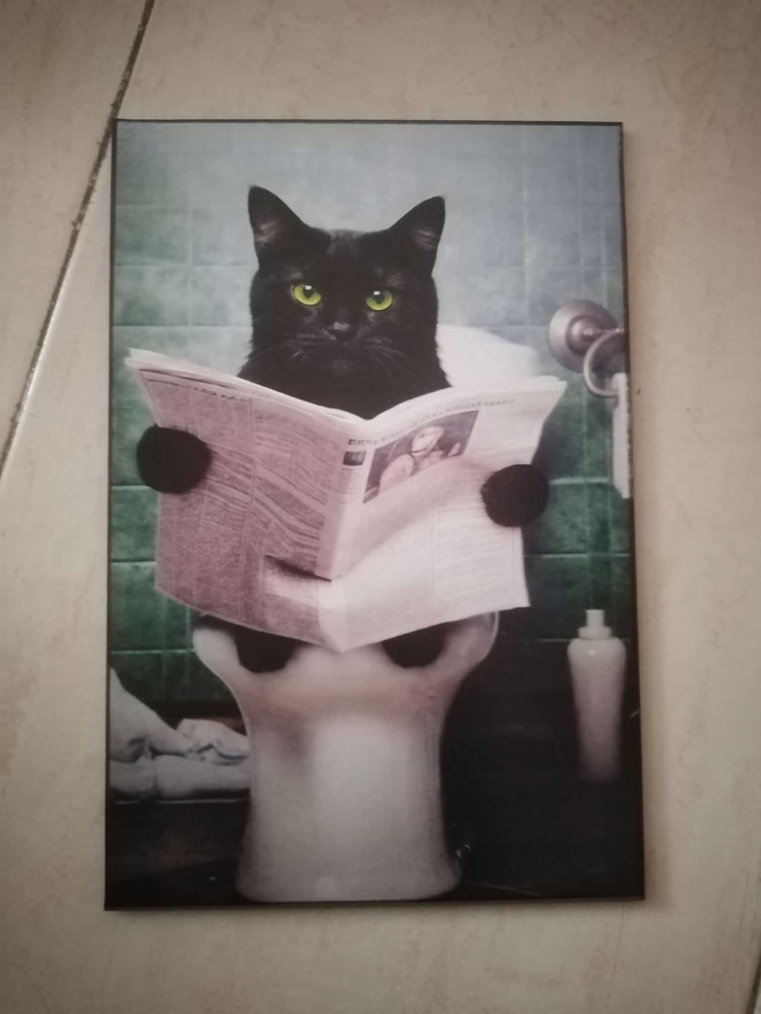 Cuadro gato negro ojos verdes leyendo periódico sentado en el váter madera 19x28 cm
