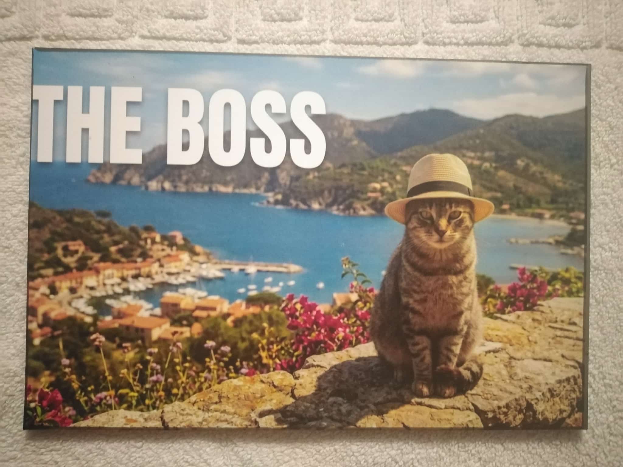 Cuadro de madera gato atigrado con sombrero de paja y texto The Boss ante paisaje mediterráneo