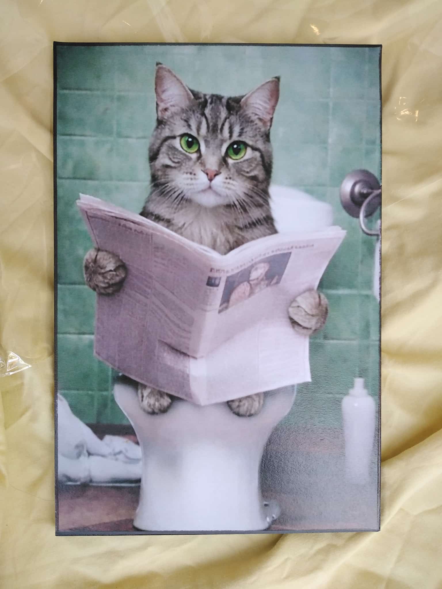 Cuadro de madera gato atigrado ojos verdes leyendo periódico sentado en el inodoro con azulejos verdes
