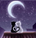 Cuadro de madera gato negro y blanco en tejado con colas formando corazón bajo luna creciente en cielo púrpura estrellado