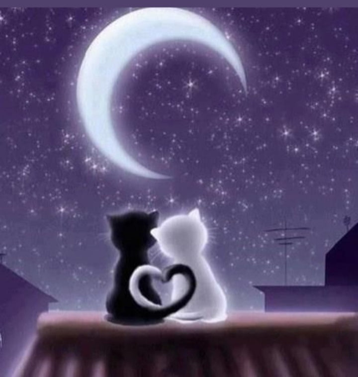 Cuadro de madera gato negro y blanco en tejado con colas formando corazón bajo luna creciente en cielo púrpura estrellado