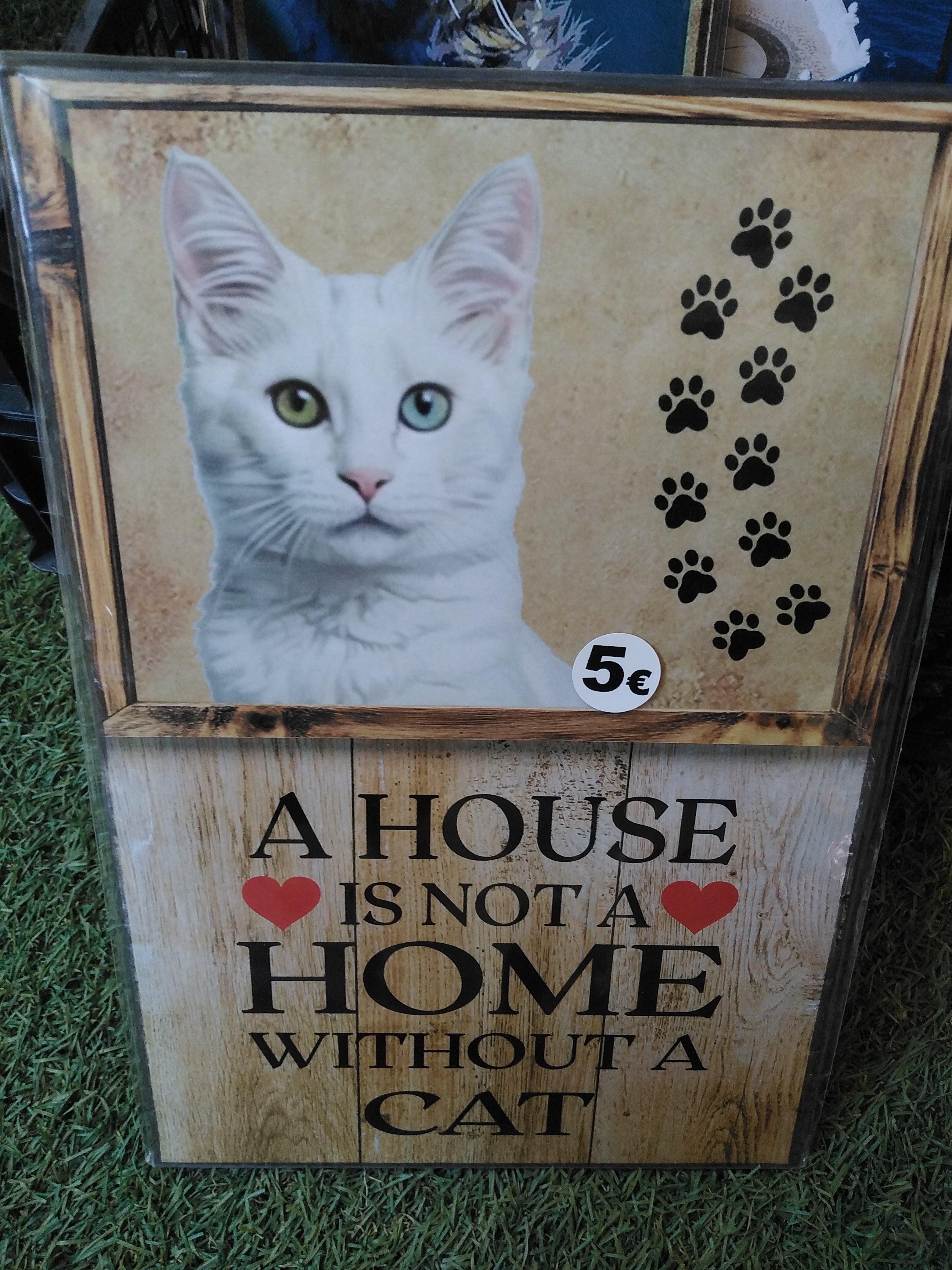 Cuadro de madera gato blanco ojos verdes con huellas negras y frase A House Is Not a Home Without a Cat